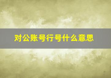 对公账号行号什么意思