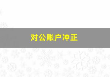 对公账户冲正