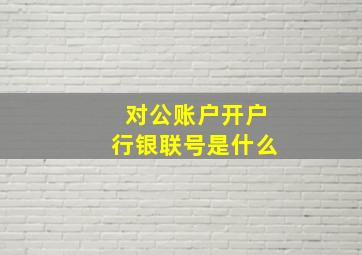 对公账户开户行银联号是什么