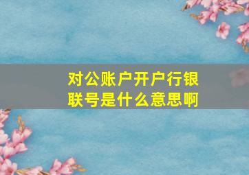 对公账户开户行银联号是什么意思啊