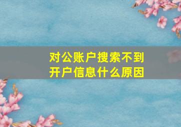 对公账户搜索不到开户信息什么原因