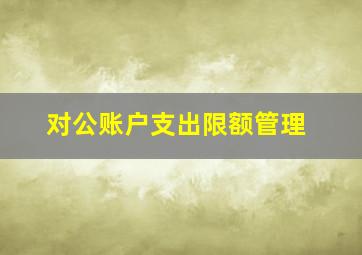 对公账户支出限额管理