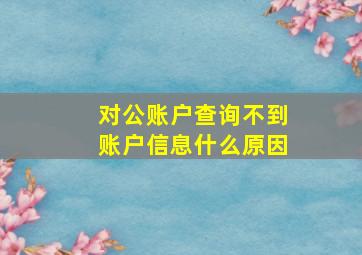 对公账户查询不到账户信息什么原因