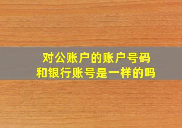 对公账户的账户号码和银行账号是一样的吗