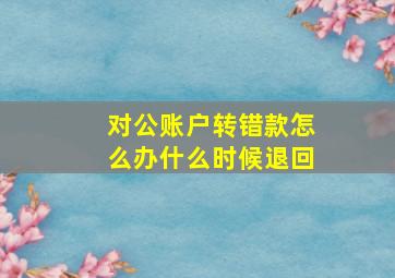 对公账户转错款怎么办什么时候退回