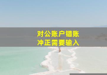 对公账户错账冲正需要输入