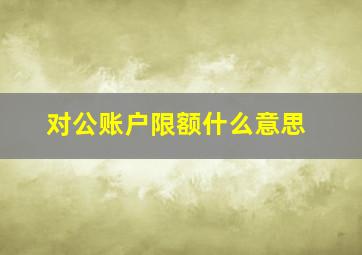 对公账户限额什么意思