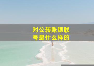 对公转账银联号是什么样的