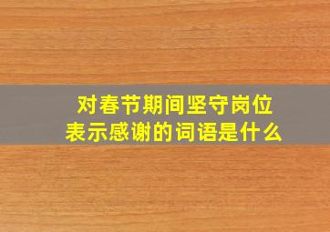 对春节期间坚守岗位表示感谢的词语是什么