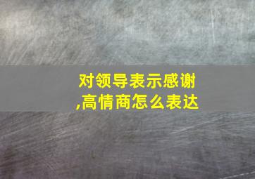 对领导表示感谢,高情商怎么表达