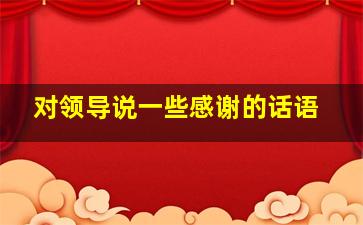 对领导说一些感谢的话语