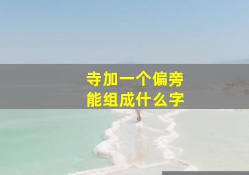 寺加一个偏旁能组成什么字