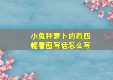 小兔种萝卜的看四幅看图写话怎么写