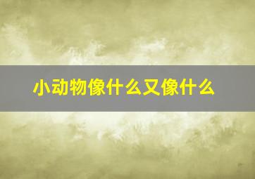 小动物像什么又像什么