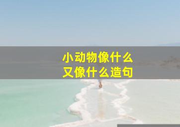 小动物像什么又像什么造句