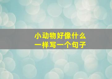 小动物好像什么一样写一个句子