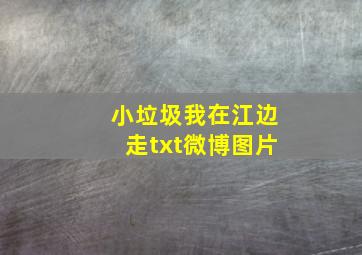 小垃圾我在江边走txt微博图片