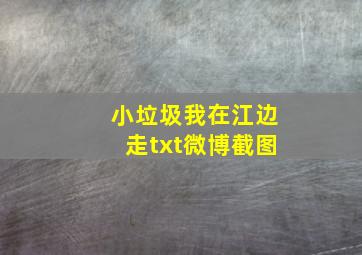 小垃圾我在江边走txt微博截图