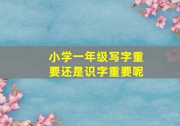 小学一年级写字重要还是识字重要呢