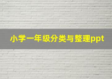 小学一年级分类与整理ppt