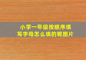 小学一年级按顺序填写字母怎么填的呢图片