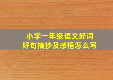 小学一年级语文好词好句摘抄及感悟怎么写