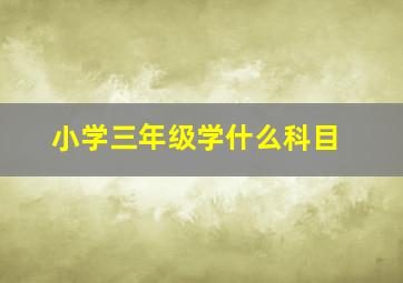 小学三年级学什么科目