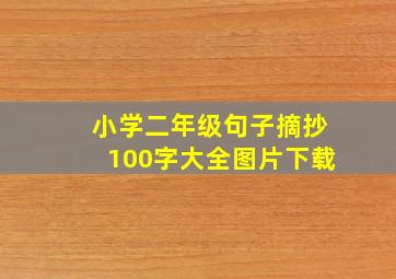 小学二年级句子摘抄100字大全图片下载