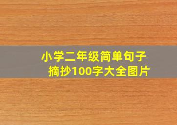 小学二年级简单句子摘抄100字大全图片