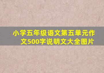 小学五年级语文第五单元作文500字说明文大全图片