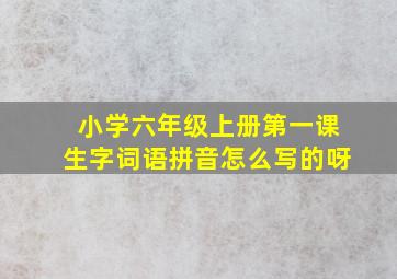 小学六年级上册第一课生字词语拼音怎么写的呀