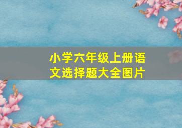 小学六年级上册语文选择题大全图片