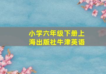 小学六年级下册上海出版社牛津英语