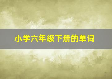 小学六年级下册的单词