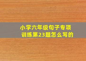 小学六年级句子专项训练第23题怎么写的