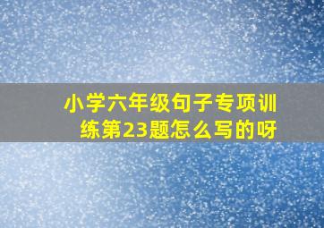 小学六年级句子专项训练第23题怎么写的呀