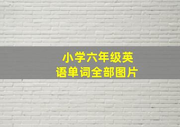 小学六年级英语单词全部图片