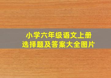 小学六年级语文上册选择题及答案大全图片