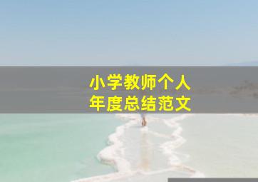 小学教师个人年度总结范文