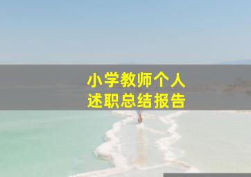 小学教师个人述职总结报告