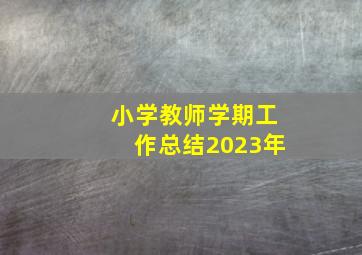 小学教师学期工作总结2023年