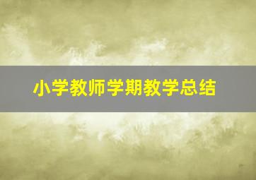 小学教师学期教学总结