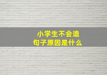 小学生不会造句子原因是什么