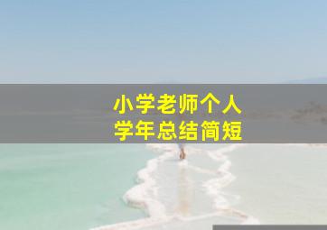 小学老师个人学年总结简短