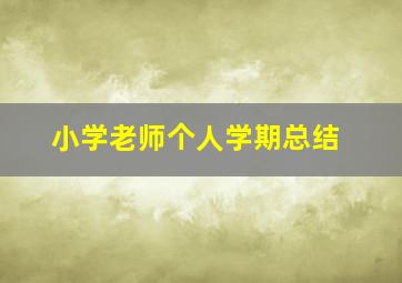 小学老师个人学期总结