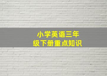 小学英语三年级下册重点知识