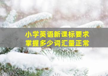 小学英语新课标要求掌握多少词汇量正常