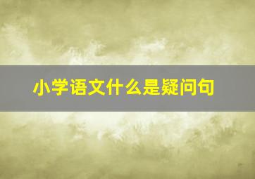 小学语文什么是疑问句