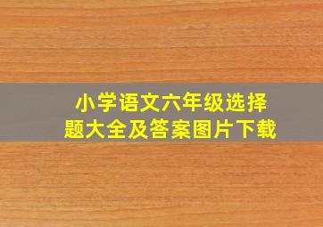 小学语文六年级选择题大全及答案图片下载