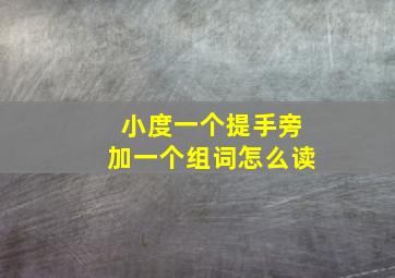 小度一个提手旁加一个组词怎么读